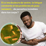 Charger l'image dans la galerie, Candida Cleanse Gélules d'extrait de feuilles d'origan - probiotiques pour la santé intestinale
