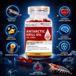 Charger l'image dans la galerie, HUILE DE KRILL ANTARCTIQUE Sentez-vous énergisé. Sentez-vous confiant. Sentez-vous lu
