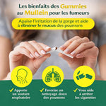 Charger l'image dans la galerie, Mullein Gummies -complément alimentaire à base de plantes
