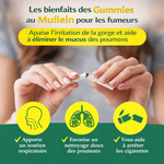 Charger l'image dans la galerie, Mullein Gummies -complément alimentaire à base de plantes
