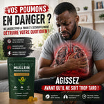 Charger l'image dans la galerie, Mullein Gummies -complément alimentaire à base de plantes
