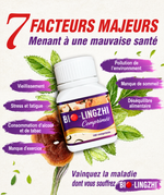 Charger l'image dans la galerie, Bio-Lingzhi pour Soutenir la Santé des Reins &amp; du Foie
