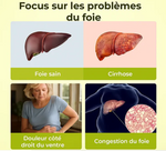 Charger l'image dans la galerie, Capsules détoxifiantes au chardon marie - Soutien et nettoyage du foie
