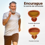 Charger l'image dans la galerie, ProstaForce™ Bee Inhaler – Agit en quelques minutes, soulage durablement !
