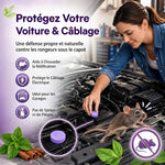 Charger l'image dans la galerie, 🐭Lot de 12 boules répulsives contre les rongeurs pour la maison et la cuisine : solution efficace contre les nuisibles
