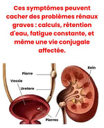 Charger l'image dans la galerie, GINSENG +
