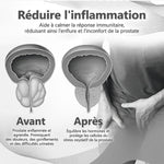 Charger l'image dans la galerie, Inhalateur Bee Venom – Retrouver énergie, confort et confiance
