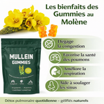 Charger l'image dans la galerie, Mullein Gummies -complément alimentaire à base de plantes

