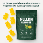 Charger l'image dans la galerie, Mullein Gummies -complément alimentaire à base de plantes
