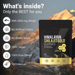 Charger l'image dans la galerie, Gummies Shilajit Himalayen 🇧🇫
